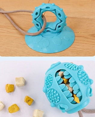 Multifunktionales Hundespielzeug mit Saugnapf